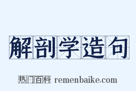 解剖学造句是什么意思的图片